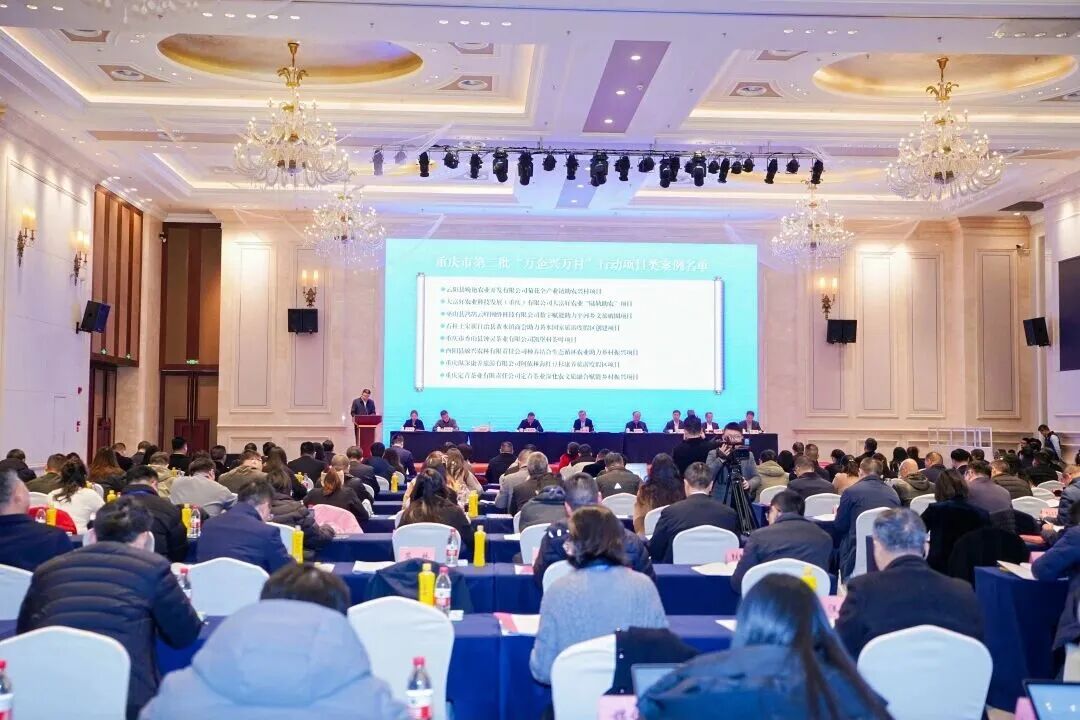 微信图片_20260310165043