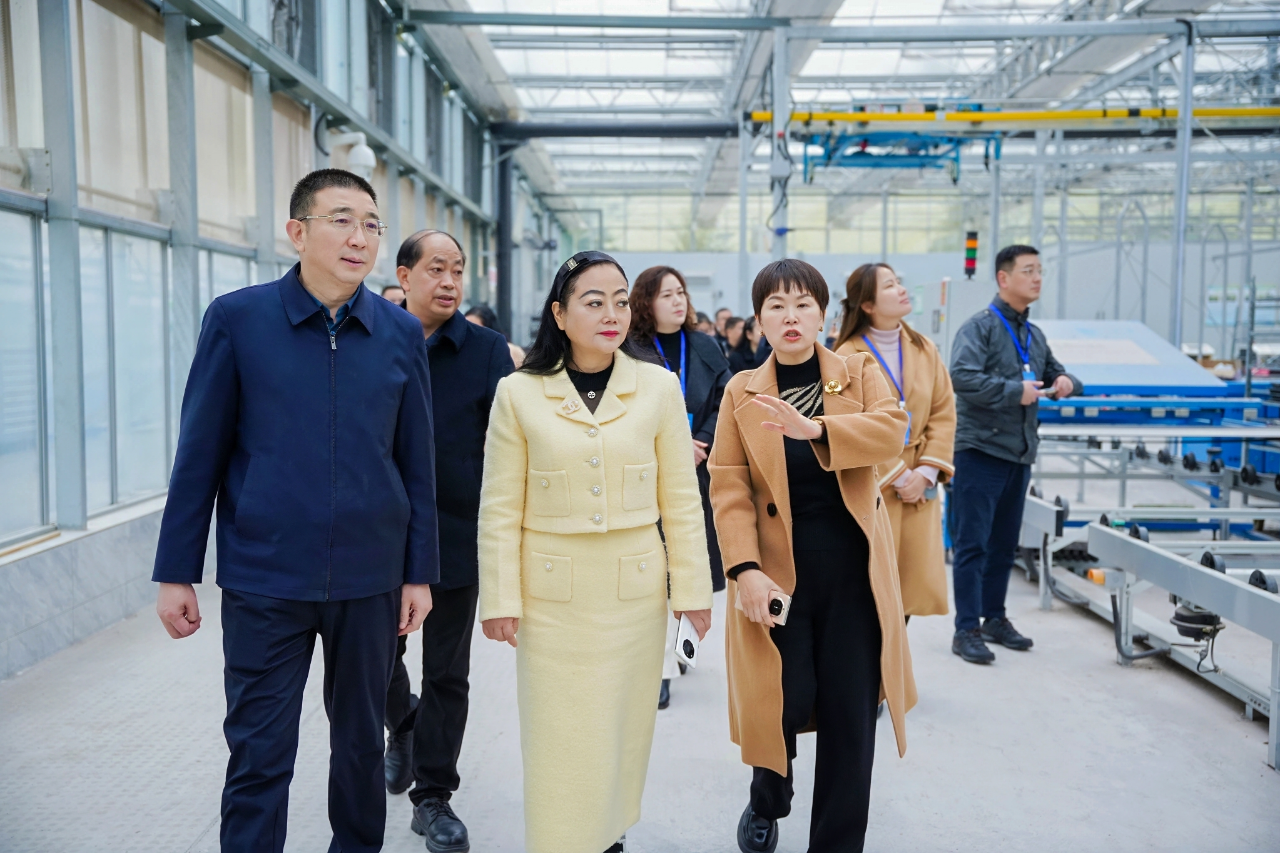 微信图片_20260310165139