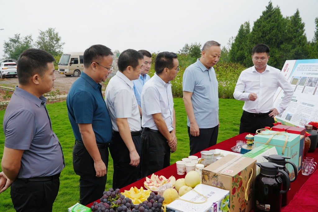 7e82d3d490b0d7abd8872c8acef799c3